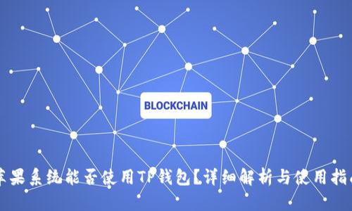 苹果系统能否使用TP钱包？详细解析与使用指南