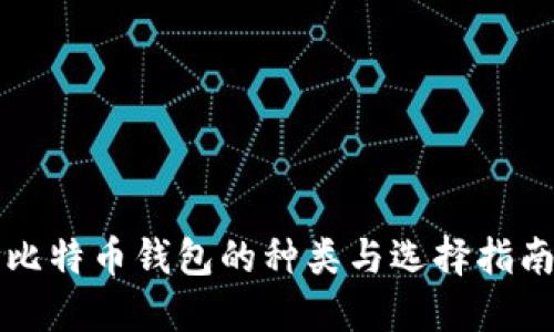 比特币钱包的种类与选择指南