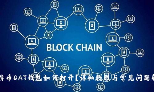 比特币DAT钱包如何打开？详细教程与常见问题解析