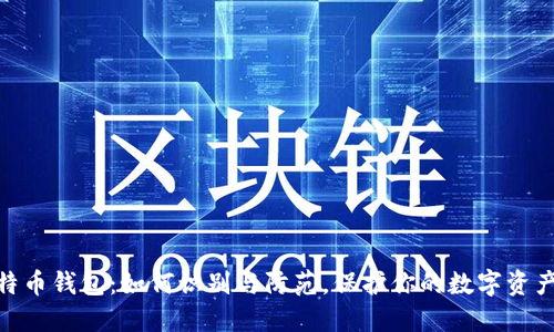假比特币钱包：如何识别与防范，保护你的数字资产安全