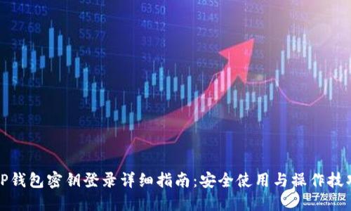 TP钱包密钥登录详细指南：安全使用与操作技巧