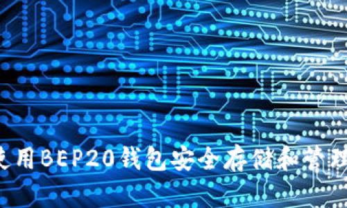 如何使用BEP20钱包安全存储和管理USDT