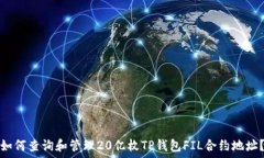   如何查询和管理20亿枚