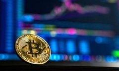 如何解决TP钱包手机号登录