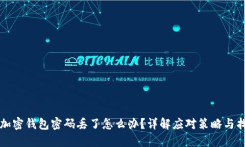 狗狗币加密钱包密码丢了怎么办？详解应对策略与找回方法
