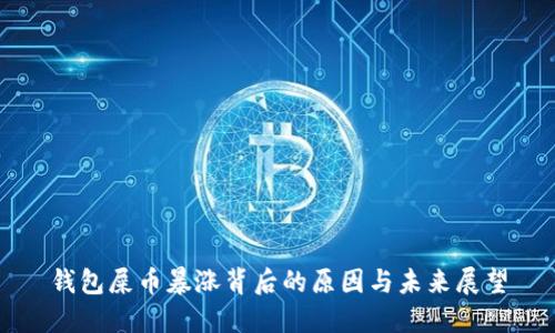 钱包屎币暴涨背后的原因与未来展望