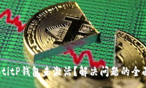 :
biasotitP钱包未激活？解决问题的全面指南