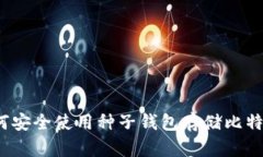 如何安全使用种子钱包存