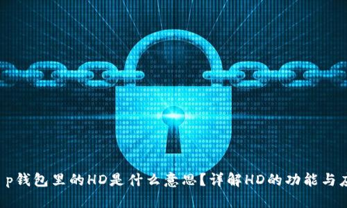  t p钱包里的HD是什么意思？详解HD的功能与应用