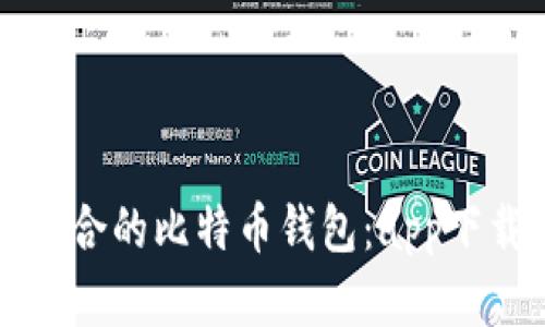 如何选择最适合的比特币钱包：app下载与使用指南