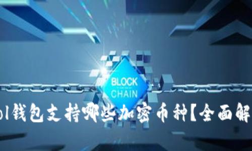 Sol钱包支持哪些加密币种？全面解析