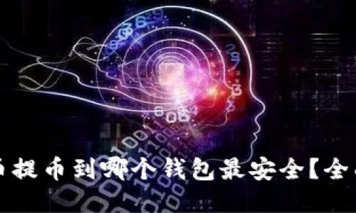 瑞波币提币到哪个钱包最安全？全面指南