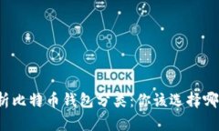 全面解析比特币钱包分类