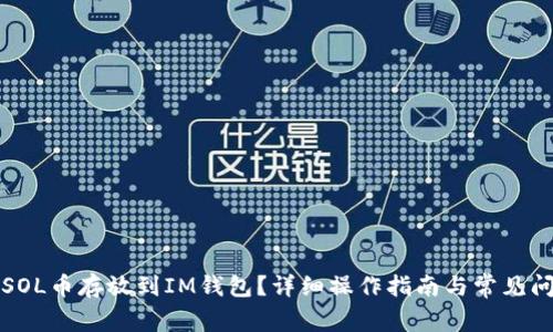 如何将SOL币存放到IM钱包？详细操作指南与常见问题解答