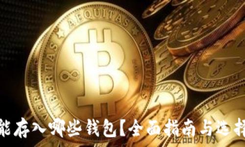   
屎币能存入哪些钱包？全面指南与选择建议