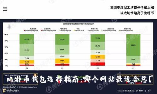 比特币钱包选择指南：哪个网站最适合您？