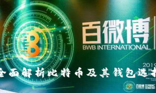 全面解析比特币及其钱包选择