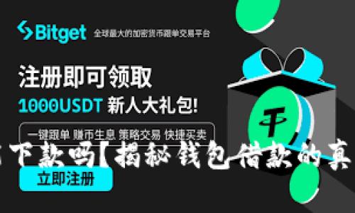 钱包还能下款吗？揭秘钱包借款的真相与技巧