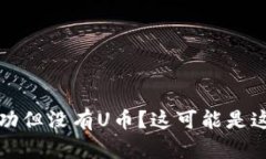 TP钱包闪兑成功但没有U币