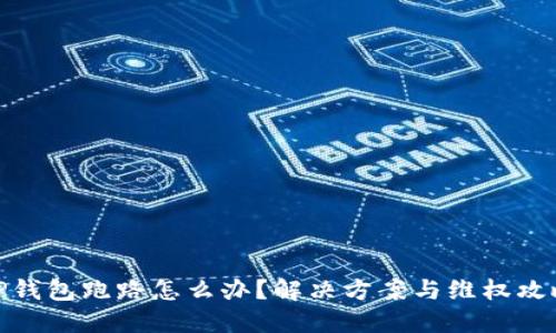 TP钱包跑路怎么办？解决方案与维权攻略