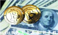 Matic钱包怎么买币：新手指