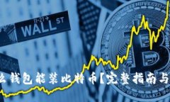  什么钱包能装比特币？完