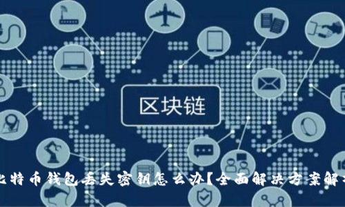 比特币钱包丢失密钥怎么办？全面解决方案解析