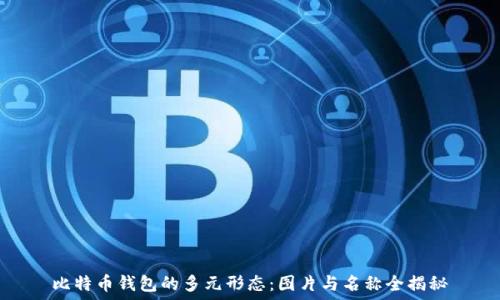   
比特币钱包的多元形态：图片与名称全揭秘