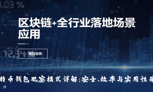 比特币钱包观察模式详解：安全、效率与实用性并存
