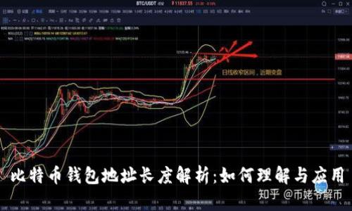 比特币钱包地址长度解析：如何理解与应用