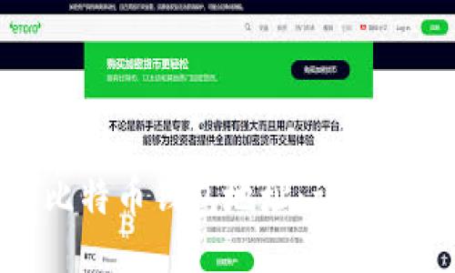 如何查看比特币钱包地址：详细指南与步骤