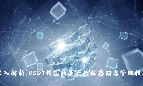 深入解析：USDT钱包的最大数据存储与管理技巧