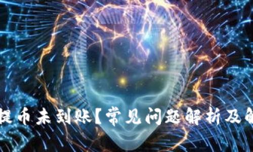 TP钱包提币未到账？常见问题解析及解决方法