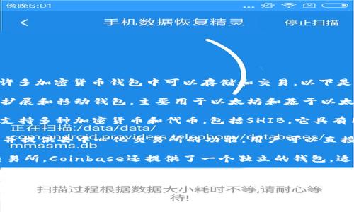 SHIB（Shiba Inu）是一种加密货币，通常在许多加密货币钱包中可以存储和交易。以下是提到的几种支持SHIB的常见钱包：

1. **MetaMask**：这是一个流行的浏览器扩展和移动钱包，主要用于以太坊和基于以太坊的代币（ERC-20类型），包括SHIB。

2. **Trust Wallet**：这是币安官方钱包，支持多种加密货币和代币，包括SHIB。它具有用户友好的界面和强大的安全性。

3. **Atomic Wallet**：支持多种加密货币并提供去中心化交易所的功能，用户可以直接在钱包中交易SHIB。

4. **Coinbase Wallet**：除了Coinbase交易所，Coinbase还提供了一个独立的钱包，适用于存储和管理包括SHIB在内的多个代币。

5. **Ledger硬件钱包**：如果您希望更安全地存储SHIB，您可以使用Ledger等硬件钱包，它提供了更高的安全性，适合长期持有。

如果您有其他任何问题或需要进一步的信息，请告诉我！