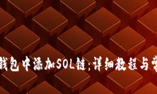 如何在狐狸钱包中添加SOL链：详细教程与常见问题解析