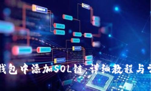 如何在狐狸钱包中添加SOL链：详细教程与常见问题解析