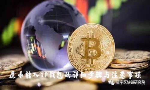 屎币转入TP钱包的详细步骤与注意事项