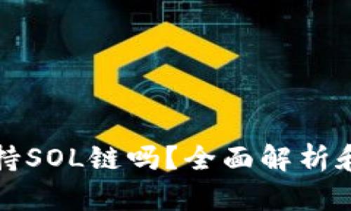 TP钱包支持SOL链吗？全面解析和使用指南