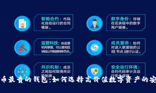 比特币最贵的钱包：如何选择高价值数字资产的安全港