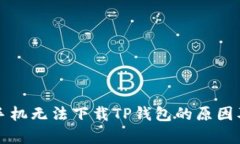 中国安卓手机无法下载T