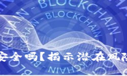 TP钱包安全吗？揭示潜在风险与对策