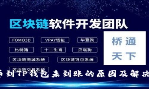  提币到TP钱包未到账的原因及解决方案