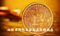比特币钱包名称及其选择