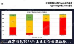 数字钱包TOPAY：未来支付的