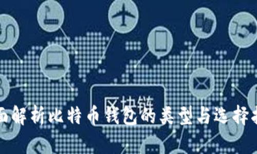 全面解析比特币钱包的类型与选择指南