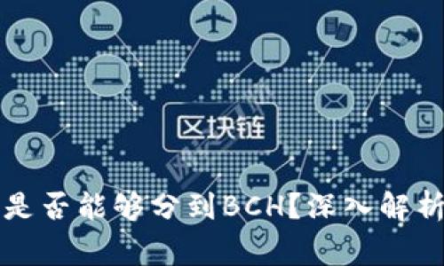 比特币在钱包中是否能够分到BCH？深入解析与常见问题解答