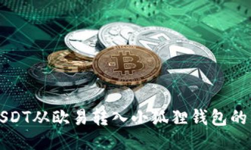 如何将USDT从欧易转入小狐狸钱包的详细指南