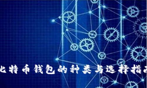比特币钱包的种类与选择指南