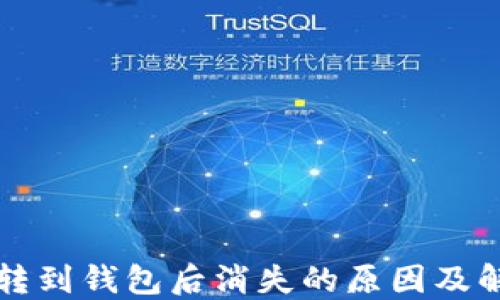 
狗狗币转到钱包后消失的原因及解决方法