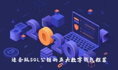 适合玩SOL公链的五大数字